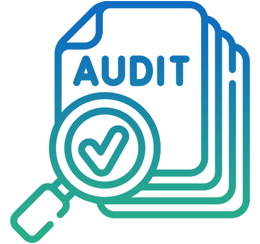 Private Company Audit