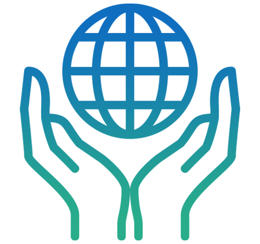 Non-Profit Organization Audit