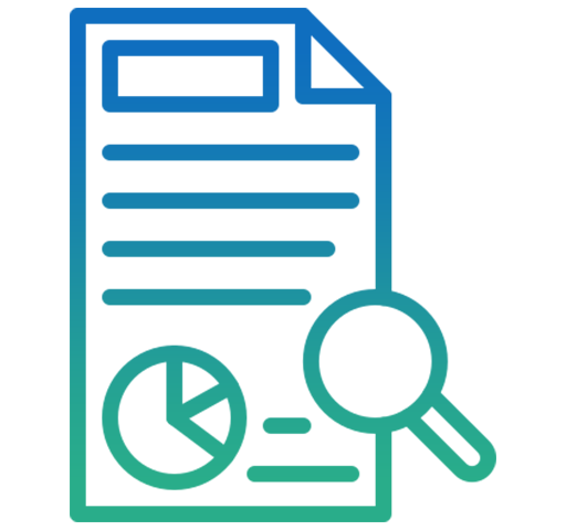HST Audit Representation