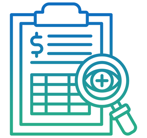 Net Worth Audit Representation