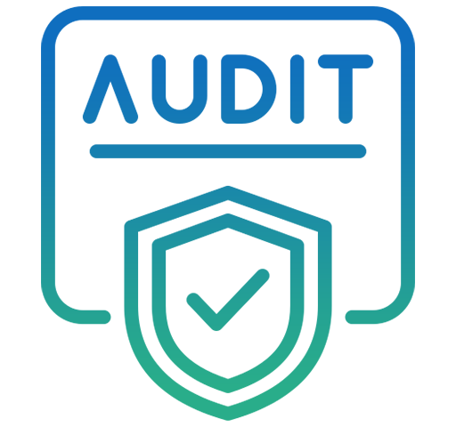IRS Representation & Audit Support